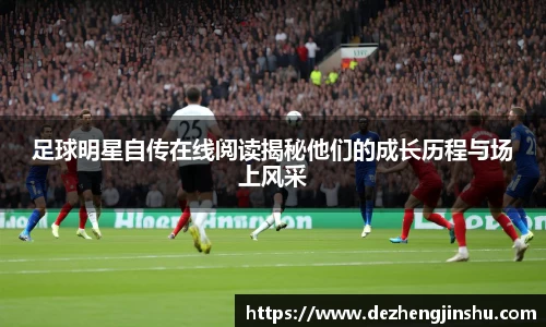 足球明星自传在线阅读揭秘他们的成长历程与场上风采