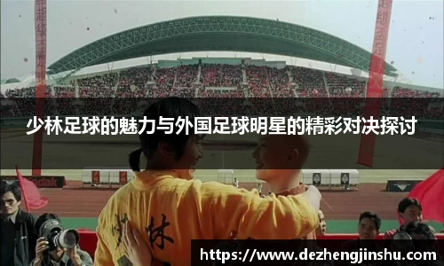 少林足球的魅力与外国足球明星的精彩对决探讨